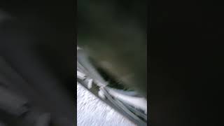 VW Golf 7.5 2.0 TDI — Strange engine noise / дивний звук