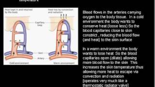 ARC 1014 QA2 2007