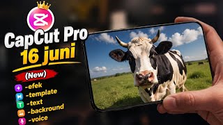 Capcut Pro new 16 juni 2026 safe no network problems ,simakk videonya gais