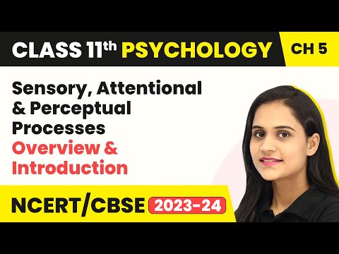 Sensory, Attentional & Perceptual Processes - Overview & Introduction |Class 11 Psychology Chapter 5