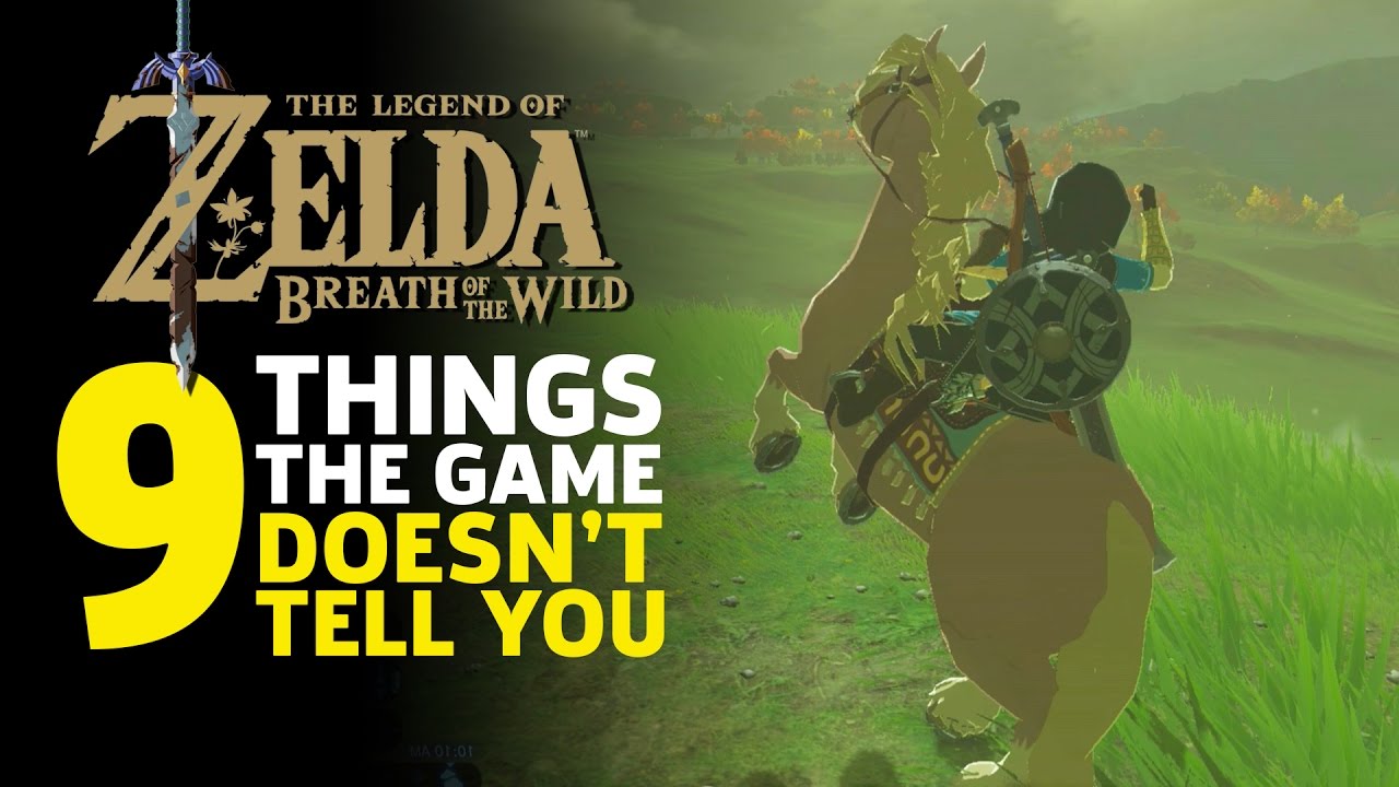 Things You Should Know in Breath of the Wild - The Legend of Zelda