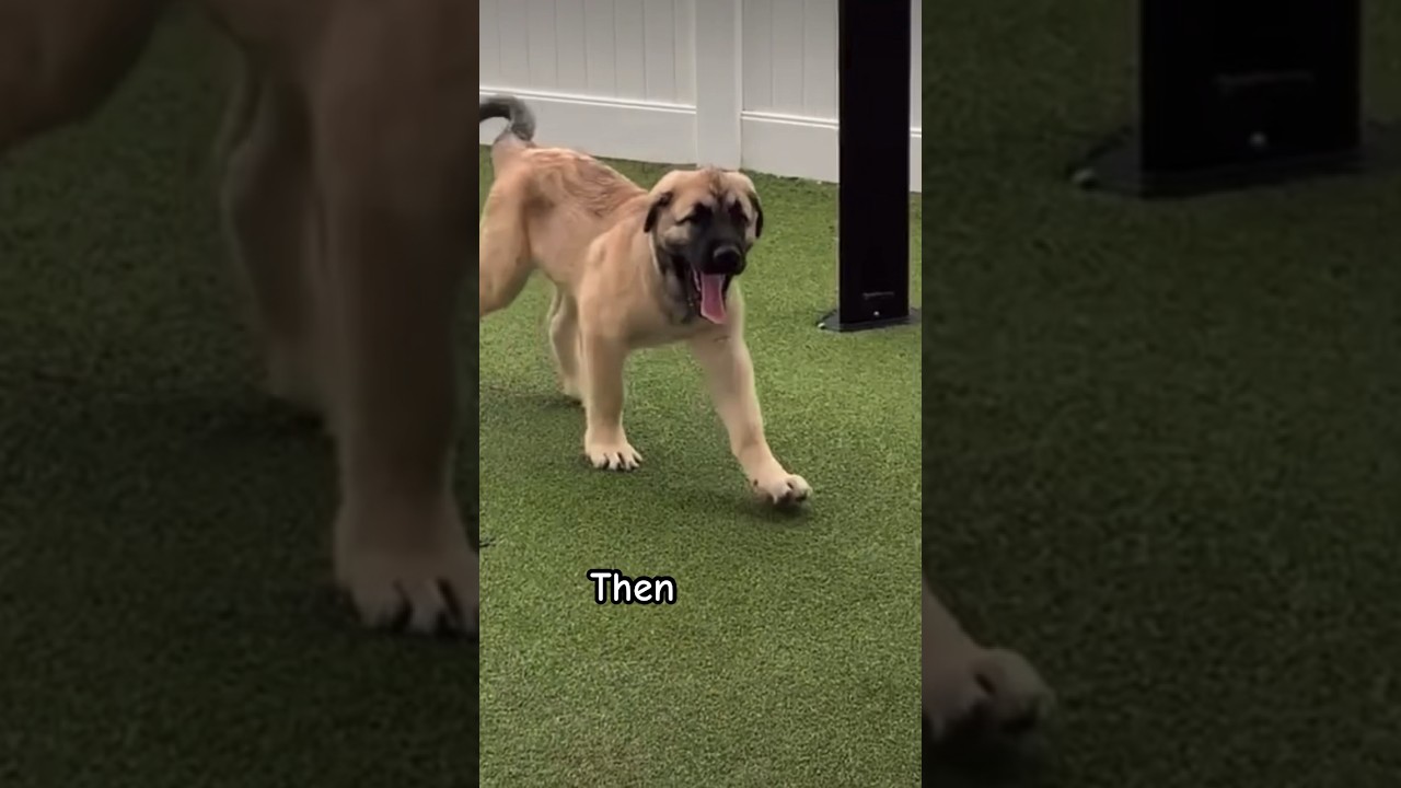 Still the sweetest baby! 