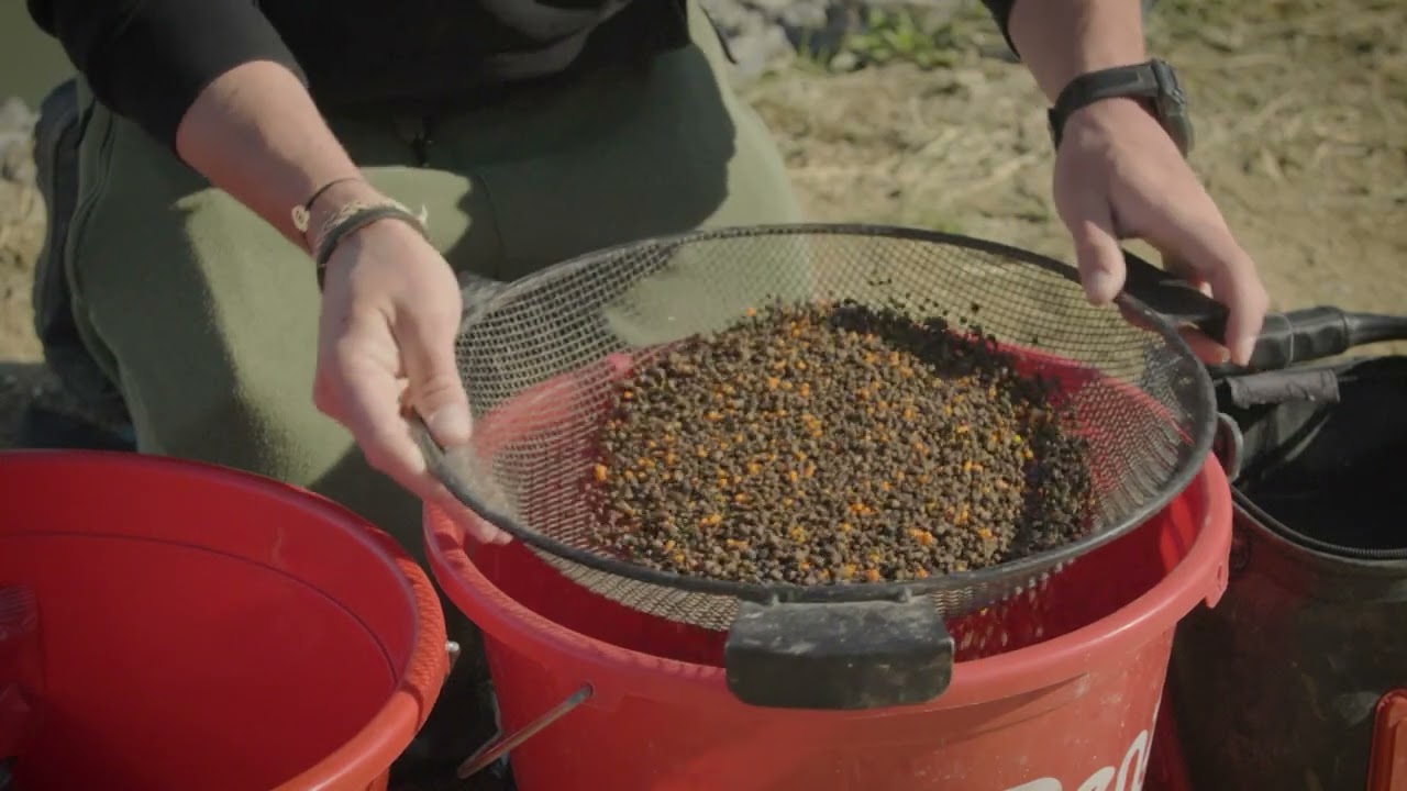 Szabo Bence campion 2024 method feeder