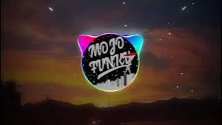 DJ PINGUIN || [MOJO FVNKY]