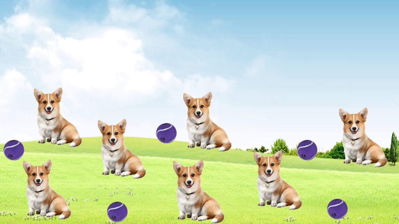 Больше, меньше, столько же - YouTube