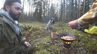 Спонтанная поездка в лес, печка щепочница с али и миттельшнауцер Тара