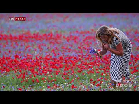 İtalya'nın şirin kasabası çiçeklerle renklendi