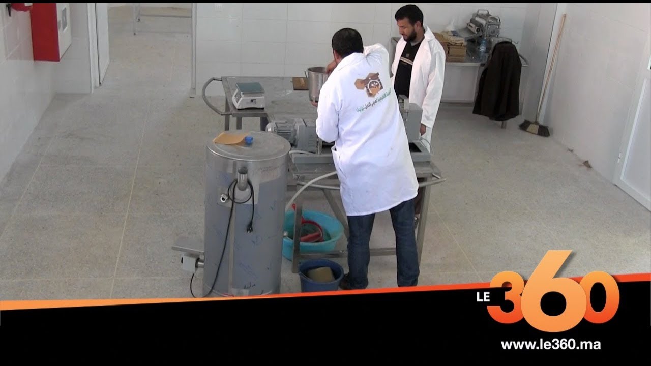 Le360.ma • هكذا يتم تلقيح ملكات النحل اصطناعيا بتزنيت