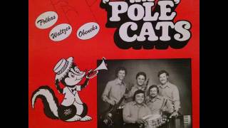 Sunshine of Your Smile Polka - Pole Cats