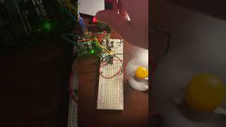 Mechatronics Project 10