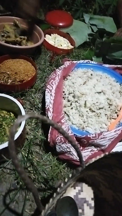 tradisi WIWIT tradisi sebelum memanen padi #nguringuribudoyo #wiwit #budoyojawi @rogobangsan