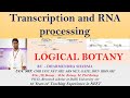 TRANSCRIPTION AND RNA MODIFICATION @ LOGICAL BOTANY BY DHARMENDRA SHARMA IN DETAIL