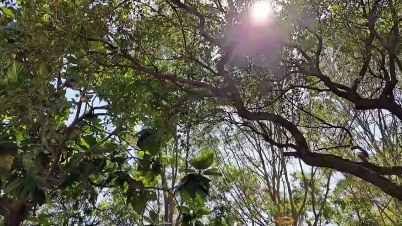 (Psalm 133/詩篇133篇)...Piano music