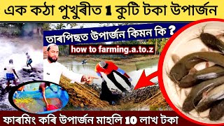 ফাৰমিং কৰি উপাৰ্জন মাহেলি 10 লাখ টকা / New Business ideas Assam 2024 / Assam fish Hatchery / farming