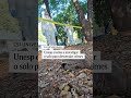 Unesp ensina a investigar o solo para desvendar crimes