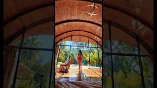Areca Palm hut