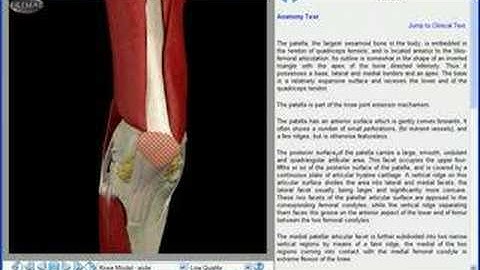 SMART Board Training-Creating avi files with SMART Recorder