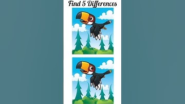 Spot 5 differences #180
