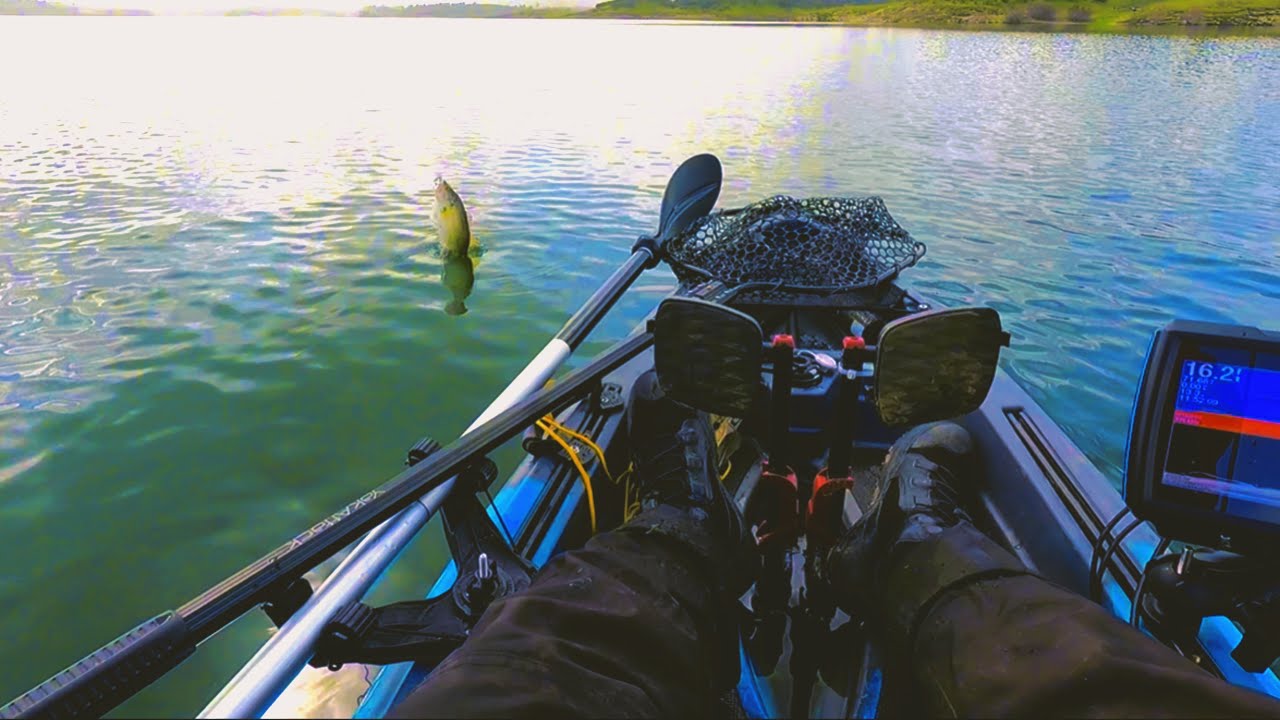 New Hogan Lake Pre Spawn Bass Fishing
