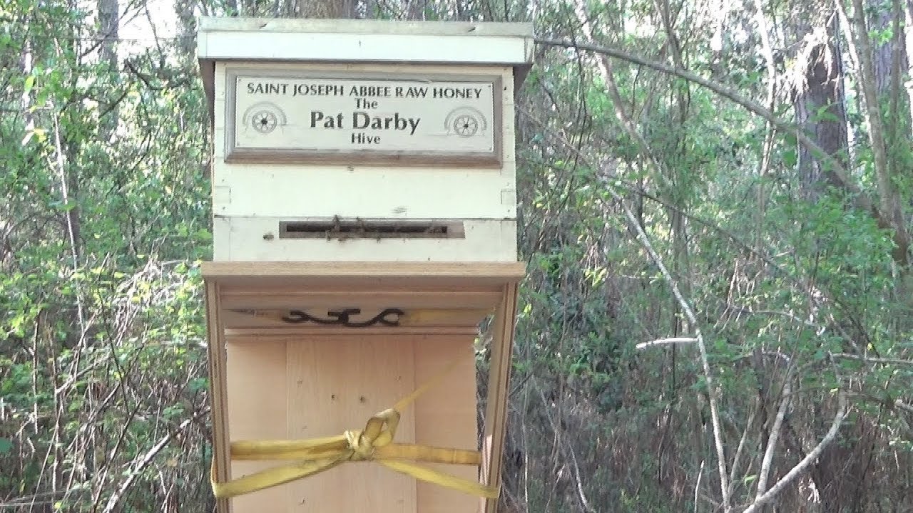 Catching swarms the easy way!