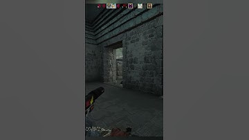 The Quickest Reaction Time in CS:GO - #shorts #short #shortsvideo #shortvideo #subscribe