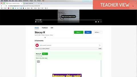 Using Text Comments in Flipgrid