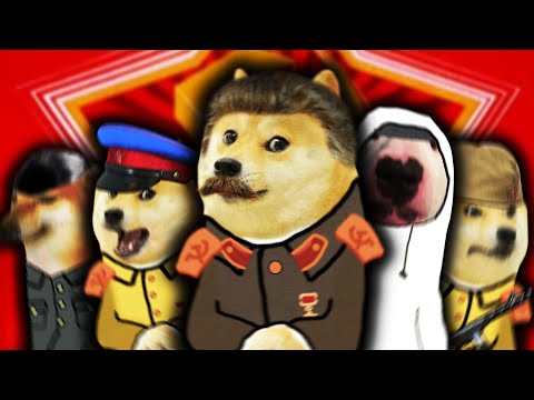 Video: Hur Stalin Dog