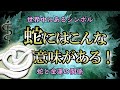【金運】蛇は神の使いで幸運の象徴｜蛇が夢に出てきたら？蛇の夢診断【アスクレピオス】