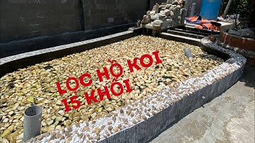 LỌC HỒ CÁ KOI 15 KHỐI || CÁ KOI VLOG TRẦN ĐỨC CƯỜNG