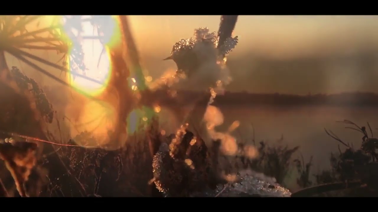 Watch Downriver Dead Men Go - Tides (official video) on YouTube Watch Downriver Dead Men Go - Tides (official video) on YouTube