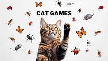 Cat Games Entertainment Bugs & Beetles in Action Watch Your Cat Go Wild! Vol 24 😻