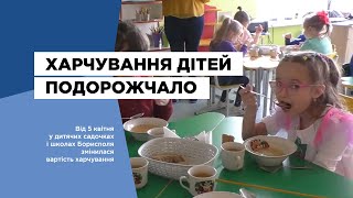 Харчування дітей у навчальних закладах Борисполя подорожчало