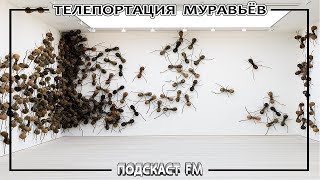 ТЕЛЕПОРТАЦИЯ МУРАВЬЁВ Атта / Подкаст FM