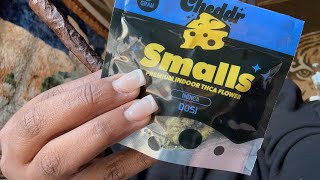 CHEDDR DOSI REVIEW