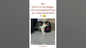 when I see my manager, after returning back from my 2 hours lunch break👀🤐#viral #shorts #coders
