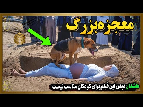 چرا از داخل قبر دختری که حافظ قرآن بود صداهای عجیبی شنیده می شد تا نبینید باور نمیکنید