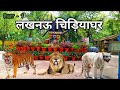 Lucknow Zoo | लखनऊ चिड़ियाघर | Nawab Wajid Ali Shah Zoological Garden | Lucknow Utter Pradesh