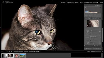 Lightroom tutorial 5  Sharpening & Noise Reduction