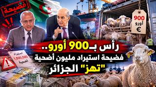 رأس بـ900 أورو.. فضيحة استيراد مليون أضحية  "تهز" الجزائر