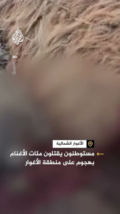            
 - نشر قبل 24 دقيقة