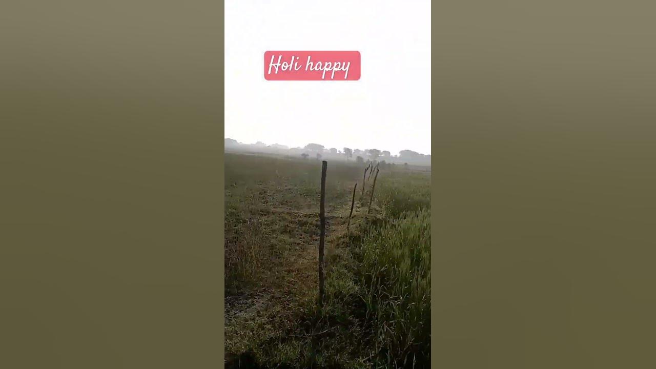 bhojpuri holi song bhojpuri