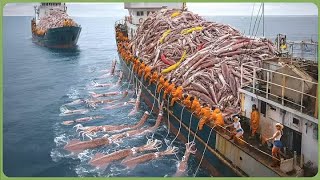 The World’s Biggest Catch - How Fishermen Haul 98 Million Tons of Seafood Each Year