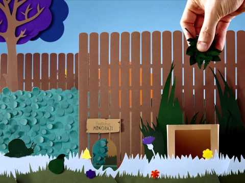 How to make a hedgehog friendly garden