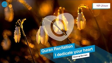 سورة الكهف كاملة سكينة وراحة ﻻ توصفّ - Quran- قرآن