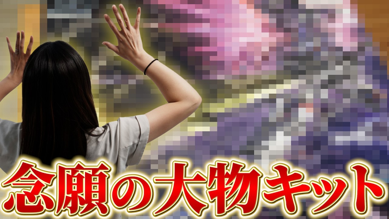 【大物ガンプラ】大迫力!! 発売日に買い逃したガンプラを一年越しに作った結果...HG 1/144 デスティニーガンダムSpecII&ゼウスシルエット