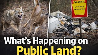 Coyotes and Illegal Dumpers Ruining Deer Hunting Pennsylvania Public Lands