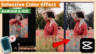 Color Isolation or Selective Color Effect | CapCut Android & iOS Tutorial