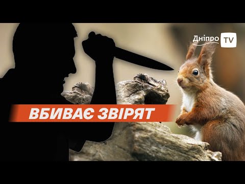 🐿 ЖАХ у Дніпрі: чоловік вбив білку в міському парку