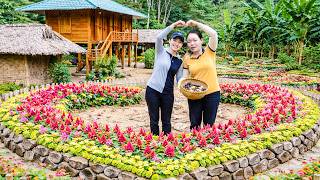 Harvesting the rarest and most exotic fruits in Vietnam to sell at the market, growing trees