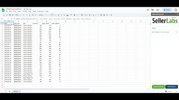 Seller Labs Data Hub - 2.5 Criterion column & Criterion